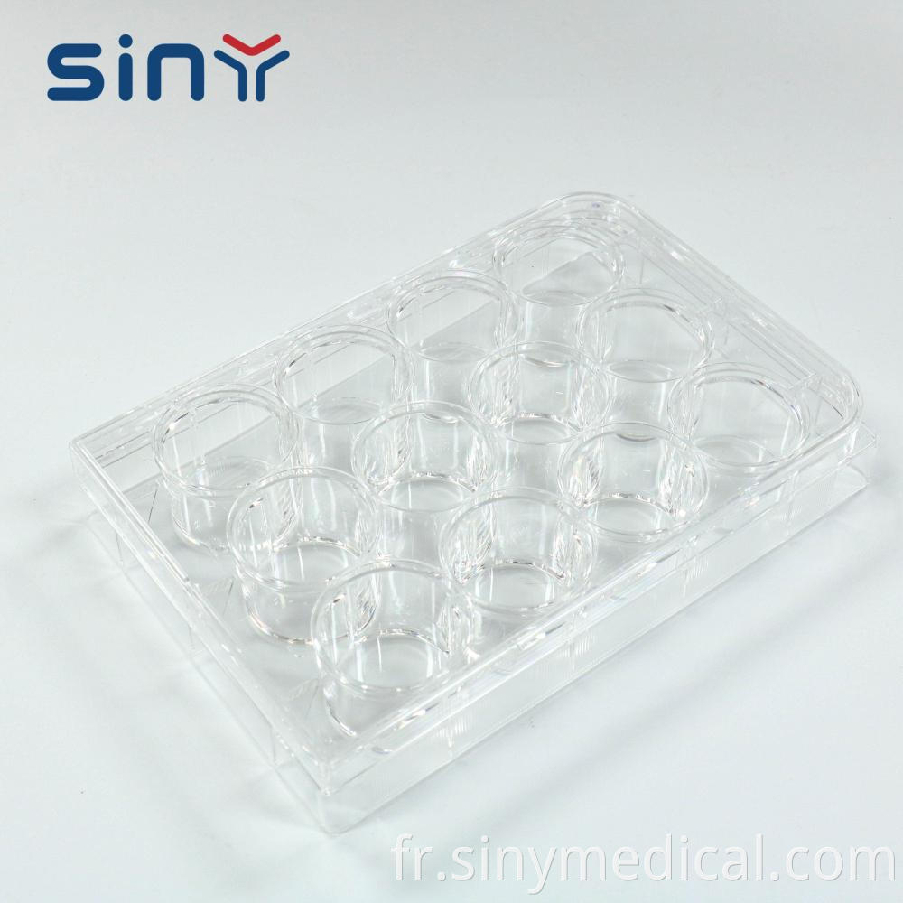 Cell culture plate